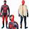 Spider-Man Unlimited Costume