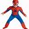 SpiderMan Costume