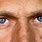 Steve McQueen Eyes