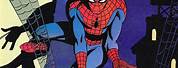 Steve Rude Spider-Man