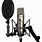 Studio Vocal Microphone