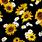 Sunflowers and Daisies