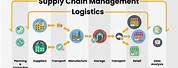 Supply Chain Management Logistics Companies