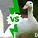 Swan vs Duck