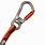 Swivel Carabiner