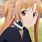 Sword Art Online Asuna Hair