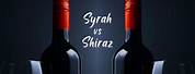 Syrah or Shiraz
