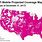 T-Mobile Coverage Map by State