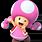 TOADETTE Character
