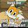 Tails Doll Memes