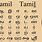 Tamil Origin