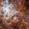 Tarantula Nebula HD