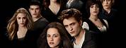 The Cullen Family The Twilight Saga