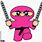 The Pink Ninja