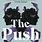 The Push Book Cover