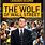 The Wolf of Wall Street DVD