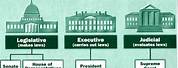 Three Branches of Federal Government