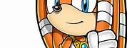 Tikal the Echidna Sonic Channel