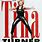 Tina Turner Concert Poster