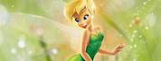 Tinkerbell Animation Face