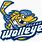 Toledo Walleye Hockey