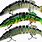 Top 10 Fishing Lures
