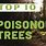 Top Ten Most Poisonous Trees