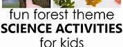 Tree Science Activities for Preschoolers