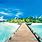 Tropical Beach Wallpaper HD