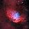 Tulip Nebula