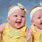 Twin Babies Laughing