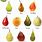 Types of Asian Pears