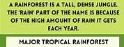 Types of Tropical Trees List