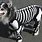 Unique Dog Halloween Costumes
