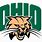 University of Ohio Logo