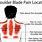 Upper Back Shoulder Blade Pain