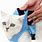 Velcro Cat Harness