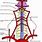 Vertebral Artery Diagram