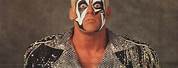 WCW Sting Poster