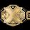 WWE NXT Championship Belt