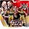 WWE Toys 2 Pack