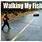 Walking Fish Meme