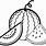 Watermelon Seed Coloring Page