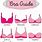 What Are the Different Bra Sizes