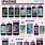 What Does Each iPhone Look Like