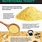 What Is Nutritional Yeast