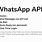 Whats App API SendMessage