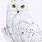 White Owl Drawing