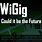 WiGig