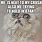 Wilfred Cat Meme